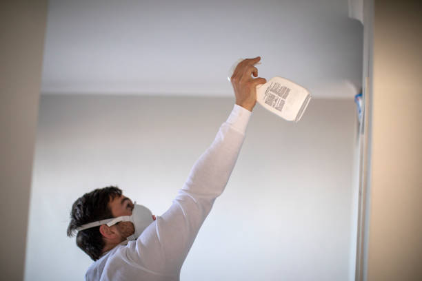Best Attic Mold Removal  in Wheatland, WY
