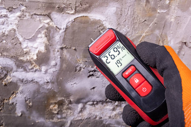 Best Commercial Mold Removal  in Wheatland, WY