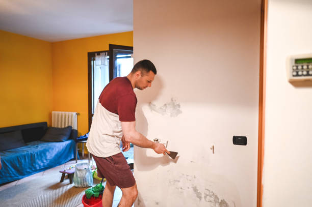 Best Mold Removal Company Near Me  in Wheatland, WY